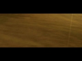 THE WRONG PATH a short animated movie by Marti Pujol THE WRONG PATH a short animated movie by Marti Pujol