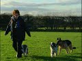 Jan Fennell the Dog Listener
