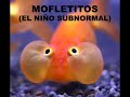 Re: Reflexi�n de tuenti (mofletitos)