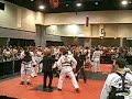 2008 Songahm Taekwondo World Championships