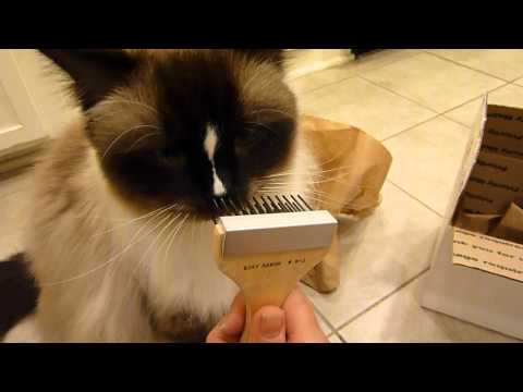 Rakom Cat Grooming Tool Three Row Rake Product Review 0 Rakom Cat Grooming Tool Three Row Rake Product Review