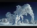 snow - red hot chilipeppers snow - red hot chilipeppers