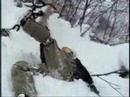 SNOWMOTO SAPPORO KOKUSAI flie03