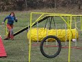 Moony - Agility trénink ve Stod?lkách, 17. 11. 2008 Moony - Agility trénink ve Stod?lkách, 17. 11. 2008