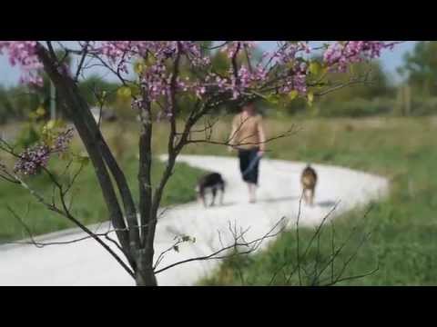 Latest Video Promotion Latest Video Promotion