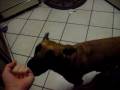 videos de me just recording