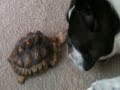 Astro & Cyd
