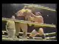 Harley Race Vs. Bruiser Brody Harley Race Vs. Bruiser Brody