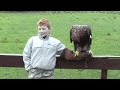 Birdman of Aberfoyle - Campbell Crawford