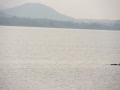 Chengalpattu lake
