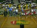 COREO 11 IJAG 2009