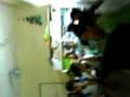 videos de MOV01892