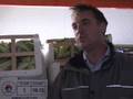 Why Horticulture Matters launch July 2008