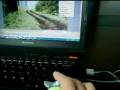 Cetacean Mouse