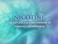 Nicotine in the Brain.