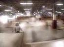 SK83 SK83