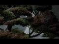 film2.mp4