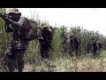 Comandos Anfíbios - COMANF