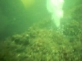 Гледай видео