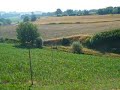 935PA Vocabolo Cipresso, Morcella