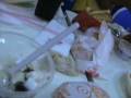 videos de At Jolly Bee - Part 2