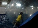 lucky  on big ball