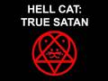 videos de GN'R: Chinese Democracy vs. Hell Cat: True Satan