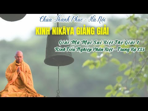 NIKAYA Giảng Giải - Giải Mã Mọi Sai Biệt Thế Giới 1 - Kinh Tiểu Nghiệp Phân Biệt - Trung Bộ 135