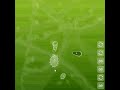 Microbe Kombat cheat (Cheat Engine)