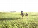 gizmo being ponied by Alanna and Dallas