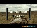 BÁRDENAS REALES (NAVARRA) - MUCHOVIAJE