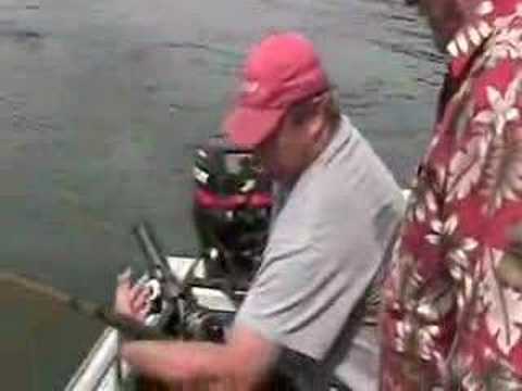 Columbia river sturgeon