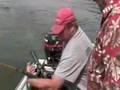 Columbia river sturgeon