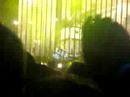 Rock werchter 2007