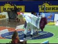 XLVIII Concurso Nacional Marinera Norte�a Trujillo 2008