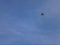 YF-23 Test Flug