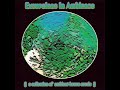 track: mya yadana
artist: tranquility bass
album: excursions in ambience
label: astralwerks