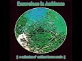 track: mya yadana
artist: tranquility bass
album: excursions in ambience
label: astralwerks