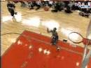 Steve Francis Dunk Steve Francis Dunk
