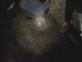 Binny the Mole Soshine 2008
