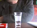 Los Kapitan - The Crawl Tour 2005 - Swietlicki &amp; Ostrowski