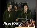 PAPA ROACH AFN-KOREA PROMO PAPA ROACH AFN-KOREA PROMO
