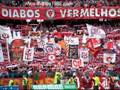 SLB - Peixeirada, �guias e papagaios