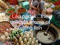 Luang Prabang Market: Sights and Sounds Luang Prabang Market: Sights and Sounds