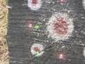 STARRFLIGHT-FOBS-at-