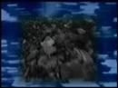 Burzum - Dunkelheit with lyrics.