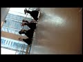 Martha Graham Dance Company in rehearsals/Night Journey