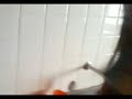 zuando na casa da maria