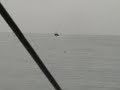 Lobster Fishing Season 2005