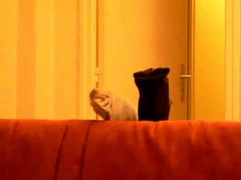 La ronde d'Arthur Schnitzler (extrait 2)